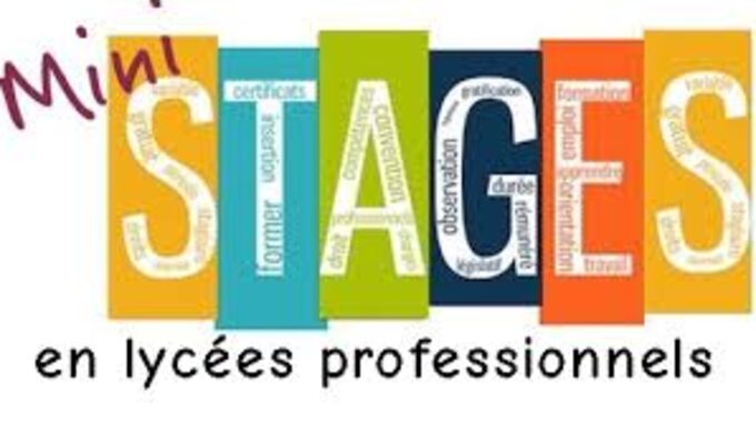 mini stages en lycées pro.jpg